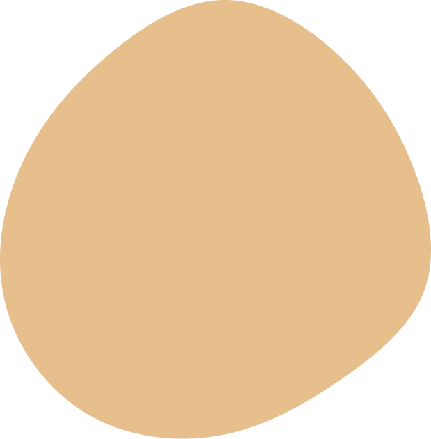 h1 shape 1